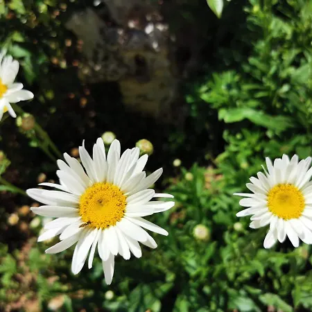 Balticadriatic Apartmán